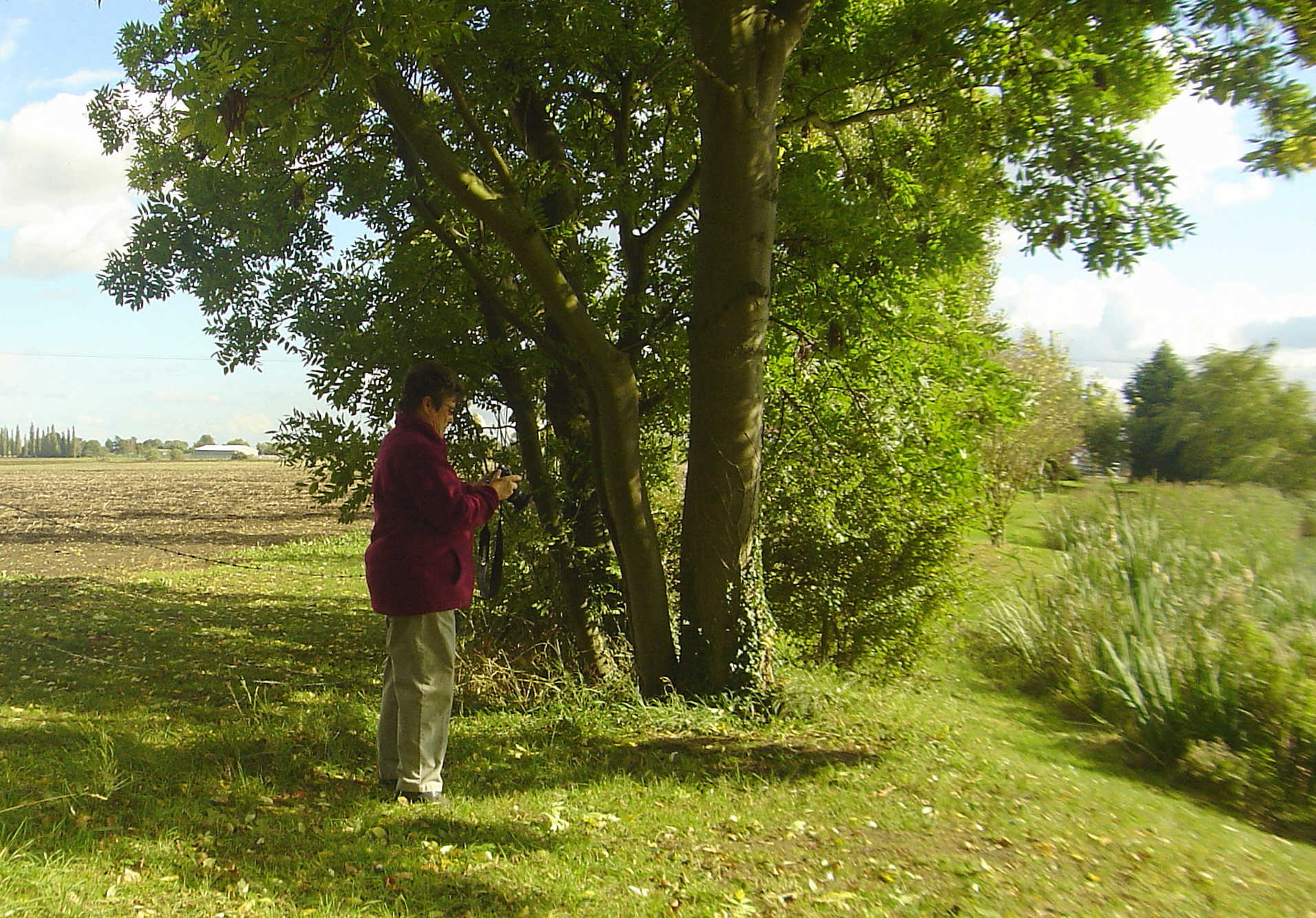 Lake Edenwold Association Lake Picnic