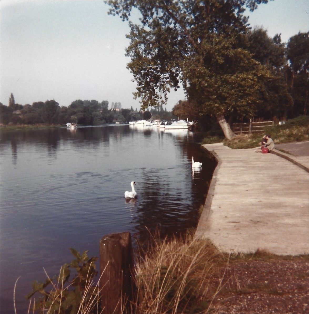 Eynesbury riverside 1984 Eynesbury, River Great Ouse St Neots
